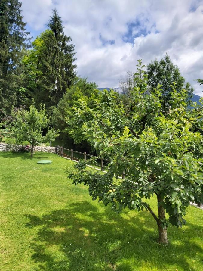 Apartma Arnez Bled Exteriör bild